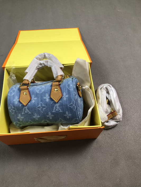 Louis Vuitton bag