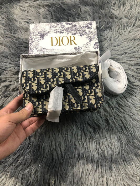 Dior bag