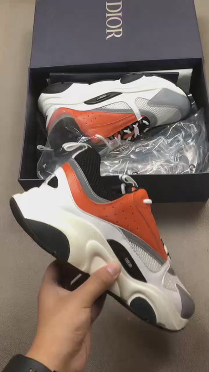 Dior B22