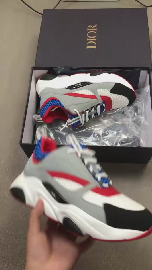 Dior B22